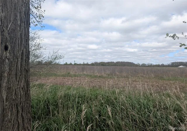 5th image of Parcel #06-18-3 Hogan Rd, Linden, MI 48451 | MLS# 60988450