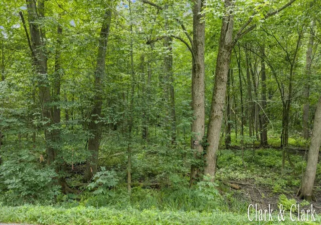 Photo 3 of Land for sale at 3582 Solon St, Cedar Springs, MI 49319 | MLS# 70548260 | Listing updated on 2026-10-05