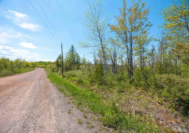 Homes for sale in Calumet, MI | Lot 1 Airport Rd, Calumet, MI 49913 | MLS# 10049208
