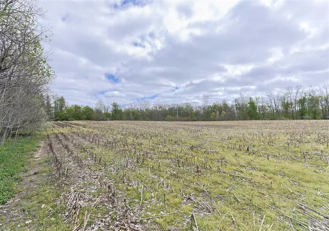 Homes for sale in Cassopolis, MI | 0 V/l White St, Cassopolis, MI 49031 | MLS# 70528447