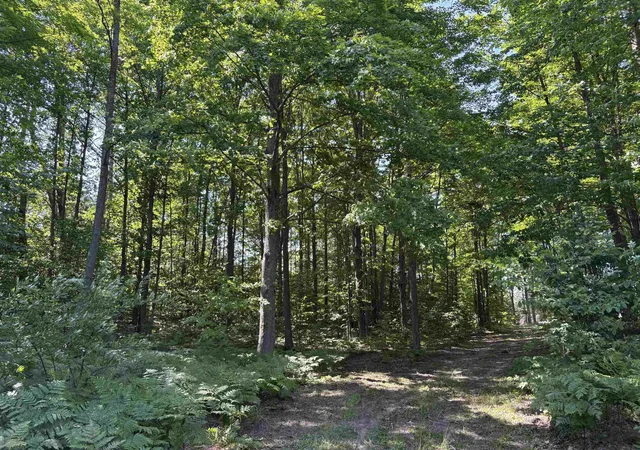 Photo 3 of Land for sale at 50 SE Acres Campbell Rd, Fife Lake, MI 49633 | MLS# 80071449 | Listing updated on 2026-09-23