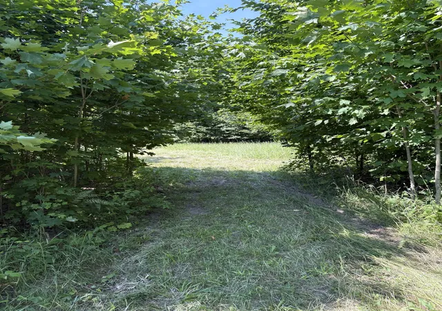 Photo 4 of Land for sale at 50 SE Acres Campbell Rd, Fife Lake, MI 49633 | MLS# 80071449 | Listing updated on 2026-09-23