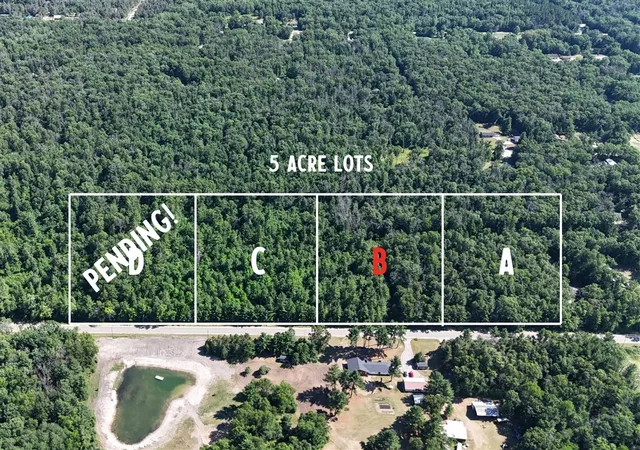 Homes for sale in Howard City, MI | B W Almy Rd, Howard City, MI 49329 | MLS# 70479318