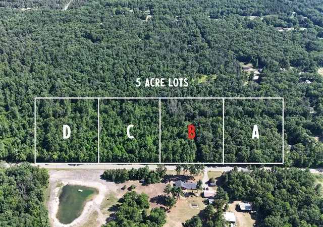 Homes for sale in Howard City, MI | B W Almy Rd, Howard City, MI 49329 | MLS# 70479318