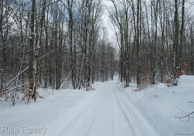 Homes for sale in Manton, MI | 11860 E 22 3/4 Rd, Manton, MI 49663 | MLS# 60962370