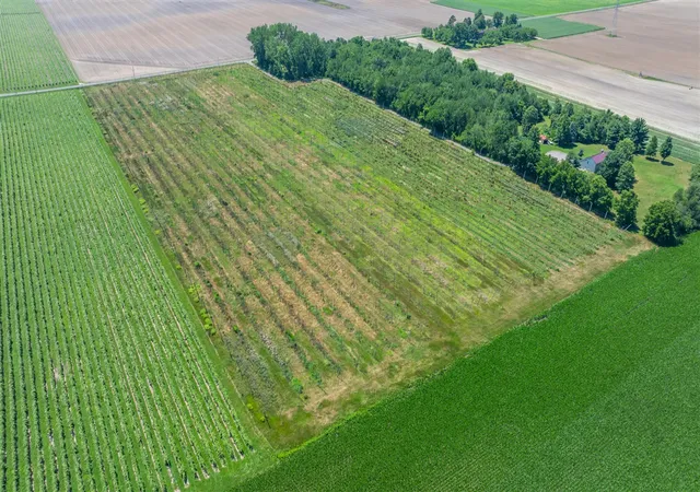 Photo 4 of Land for sale at 1129 Marrs Rd, Baroda, MI 49101 | MLS# 70543718 | Listing updated on 2026-08-14
