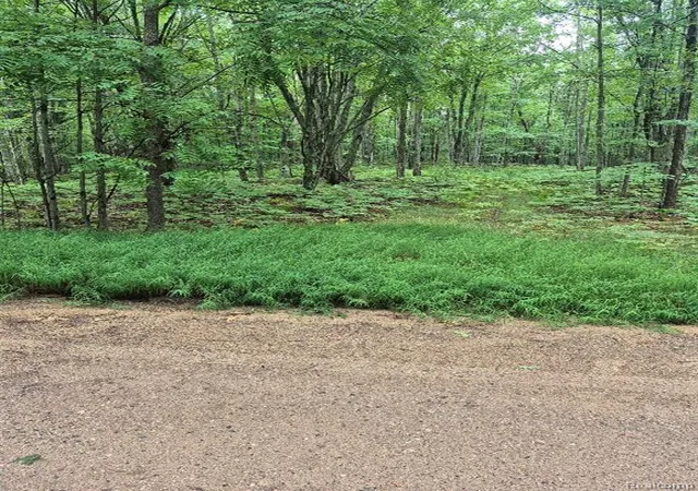 1st image of 162 (lot 32) West Ridge Circle Circle, Le Roy, MI 49655 | MLS# 61017939