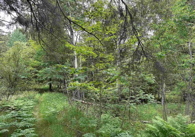Photo 3 of Sale Pending at 713 Grove St, Marquette, MI 49855 | MLS# 50179646 | Listing updated on 2026-09-22