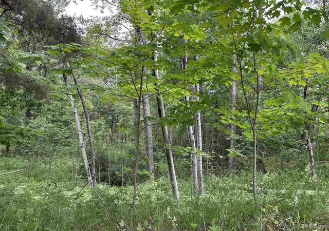 Photo 4 of Land for sale at 713 Grove St, Marquette, MI 49855 | MLS# 50179646 | Listing updated on 2026-09-03