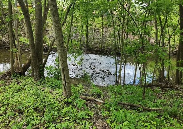 Listing Photo 2 - Condo for sale in building located at 2308 Pittsfield Blvd, Ann Arbor, MI 48104 - Unit #