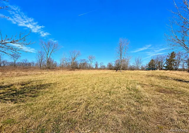 Homes for sale in Brown City, MI | 00 Jeddo, Brown City, MI 48416 | MLS# 60997557