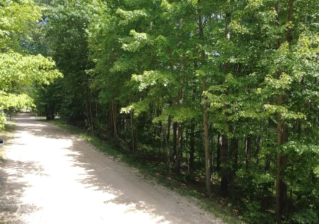 1st image of 11113 Rambling Wy, Canadian Lakes, MI 49346 | MLS# 70547757