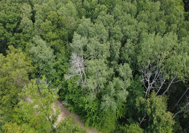 2nd image of 11113 Rambling Wy, Canadian Lakes, MI 49346 | MLS# 70547757