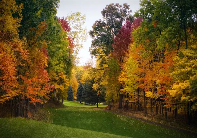 Photo 3 of Land for sale at 11113 Rambling Wy, Canadian Lakes, MI 49346 | MLS# 70547757 | Listing updated on 2026-08-21
