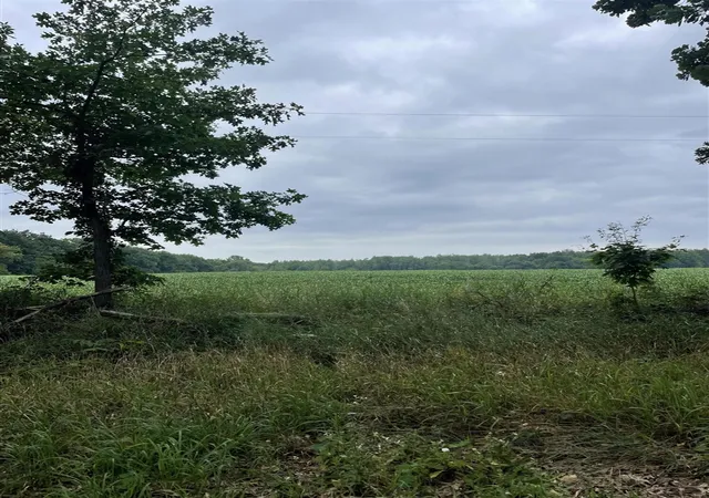 Photo 2 of Sale Pending at 0000 Jacob Rd, Grass Lake, MI 49240 | MLS# 70550917 | Listing updated on 2026-09-25