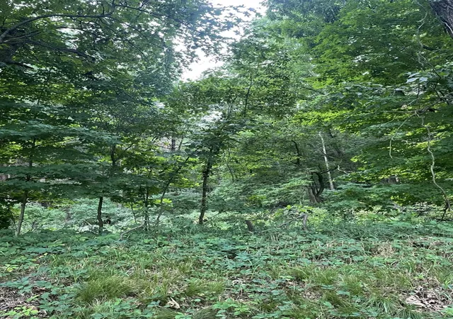 Photo 3 of Sale Pending at 0000 Jacob Rd, Grass Lake, MI 49240 | MLS# 70550917 | Listing updated on 2026-09-25