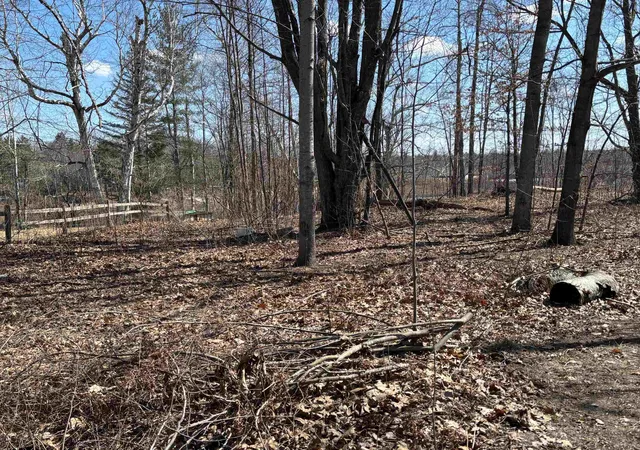 Homes for sale in Gladwin, MI | Lot 1 Stacey Ct, Gladwin, MI 48624 | MLS# 50200853