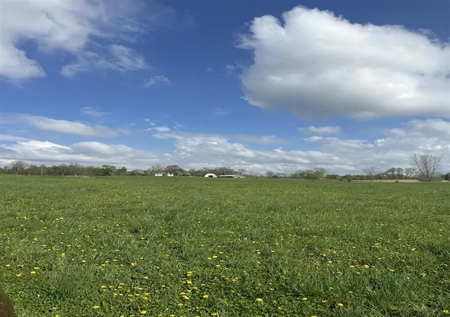 Photo 4 of Land for sale at 6045 Herrington Rd, Webberville, MI 48892 | MLS# 70517384 | Listing updated on 2026-05-22