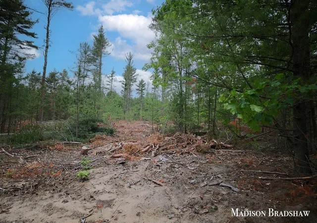 Photo 4 of Land for sale at V/L S Sheridan Dr, Muskegon, MI 49444 | MLS# 70475196 | Listing updated on 2026-06-15