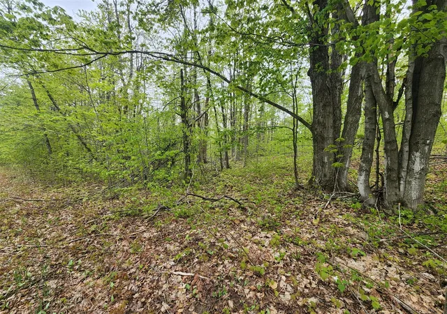 1st image of Valleyridge Cir, Elmira, MI 49730 | MLS# 70519244