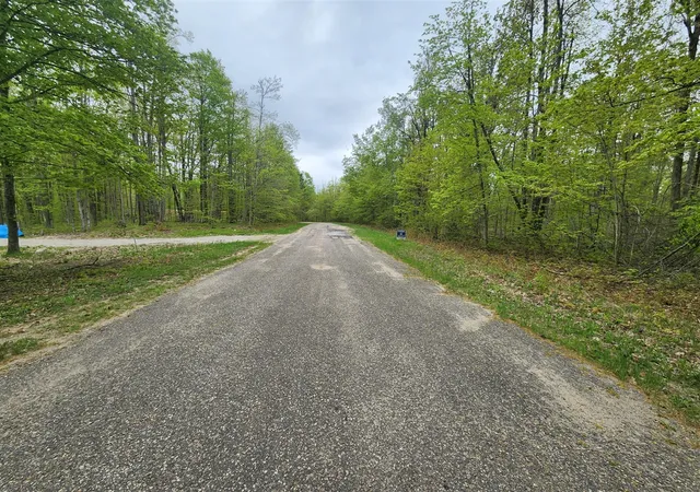 2nd image of Valleyridge Cir, Elmira, MI 49730 | MLS# 70519244