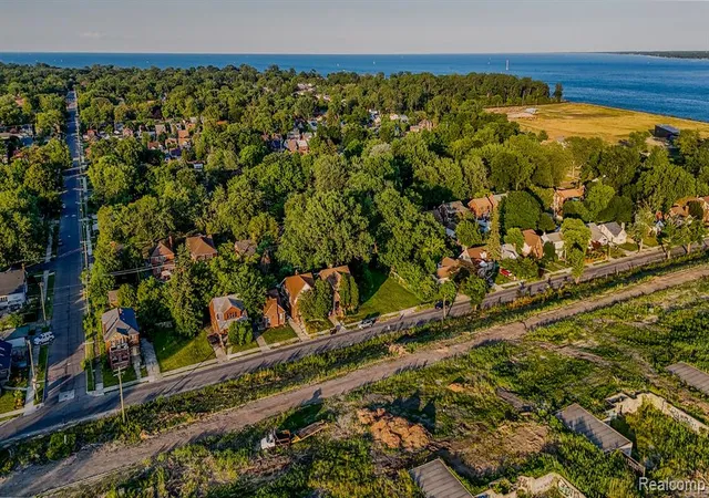 Photo 3 of Land for sale at 264 Lenox St, Detroit, MI 48215 | MLS# 60323107 | Listing updated on 2025-12-22