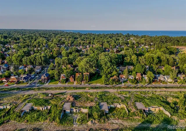 Photo 3 of Land for sale at 264 Lenox St, Detroit, MI 48215 | MLS# 60323107 | Listing updated on 2025-12-22