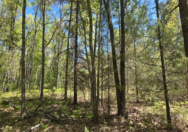 Homes for sale in Free Soil, MI | V/l E Koenig Rd, Free Soil, MI 49411 | MLS# 70525892