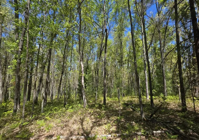 Homes for sale in Free Soil, MI | V/L E Koenig Rd, Free Soil, MI 49411 | MLS# 70525892