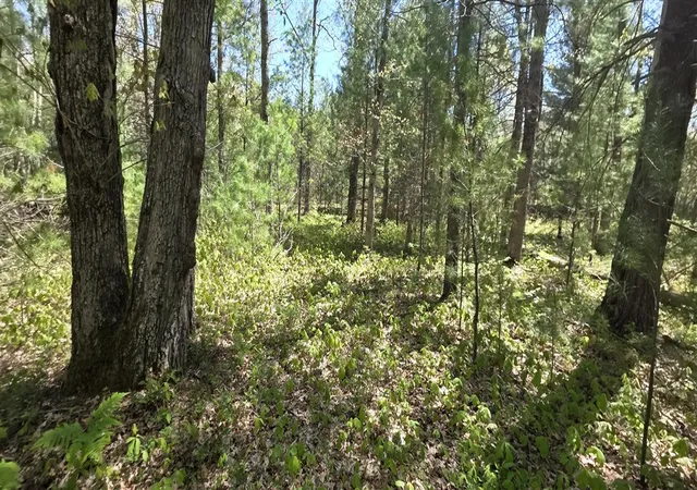 Homes for sale in Free Soil, MI | V/L E Koenig Rd, Free Soil, MI 49411 | MLS# 70525892