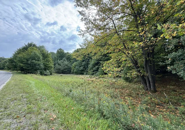 Homes for sale in Cedar, MI | Lot 5 E Old Mountain Rd, Cedar, MI 49621 | MLS# 80062024