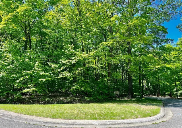 Homes for sale in Bellaire, MI | 62 Valley Run, Bellaire, MI 49615 | MLS# 80070058