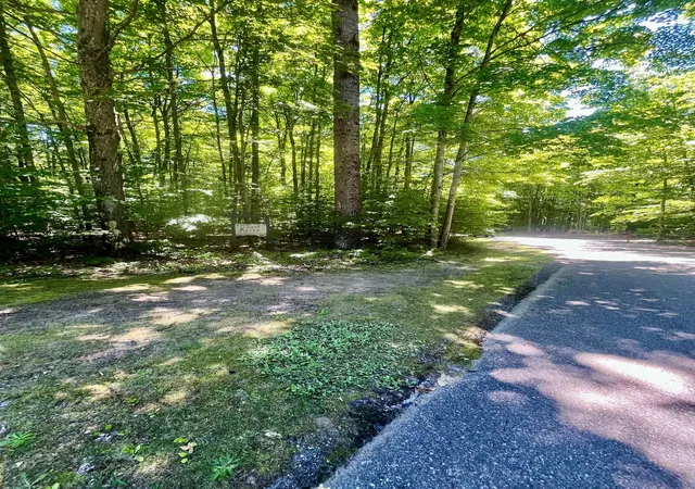 Homes for sale in Bellaire, MI | 62 Valley Run, Bellaire, MI 49615 | MLS# 80070058
