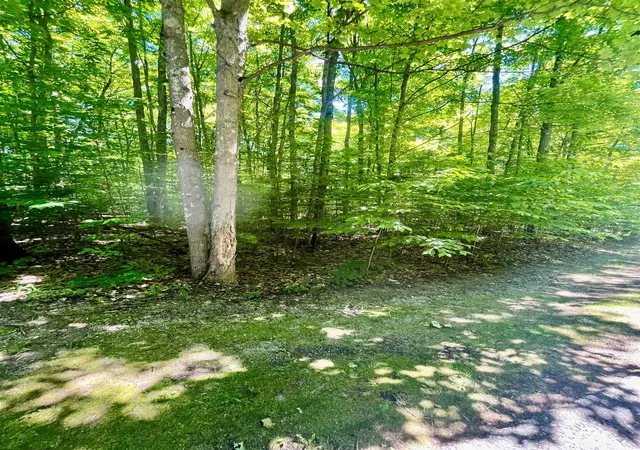 Homes for sale in Bellaire, MI | 62 Valley Run, Bellaire, MI 49615 | MLS# 80070058