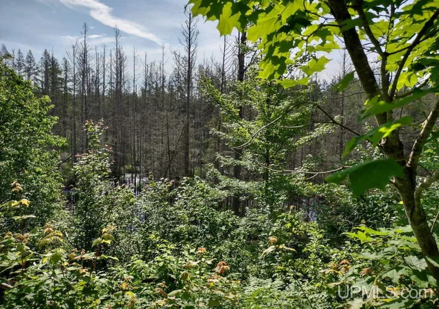 Homes for sale in Crystal Falls, MI | Tbd Spot Lake Rd, Crystal Falls, MI 49920 | MLS# 50213871