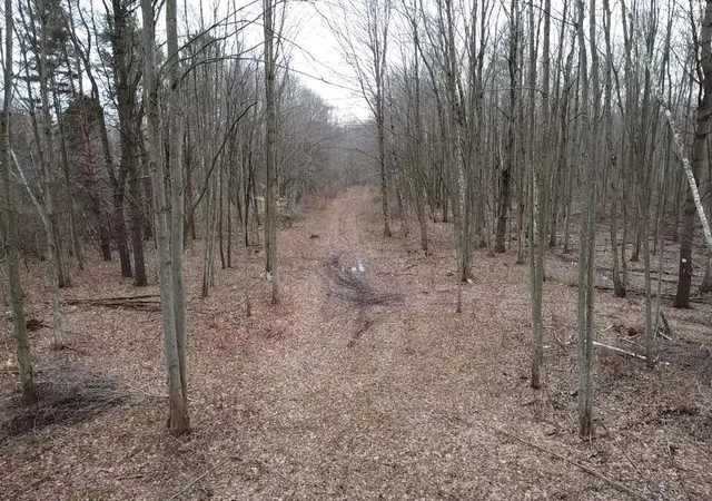 Photo 3 of Land for sale at 000 Bryce Rd, Update, MI 48049 | MLS# 70555384 | Listing updated on 2026-08-28