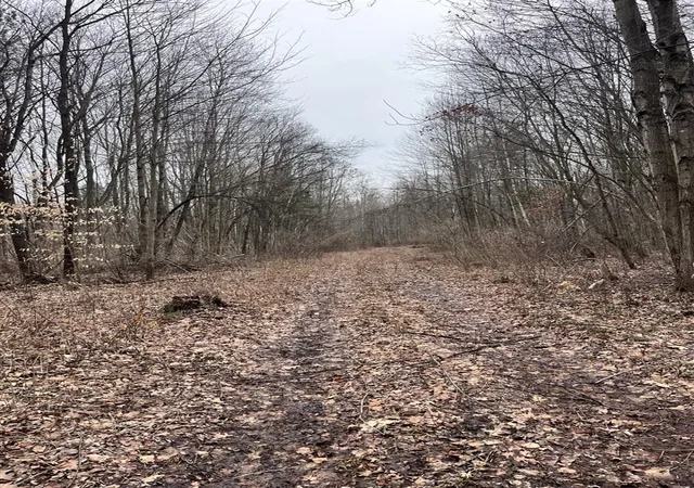 Photo 4 of Land for sale at 000 Bryce Rd, Update, MI 48049 | MLS# 70555384 | Listing updated on 2026-08-28