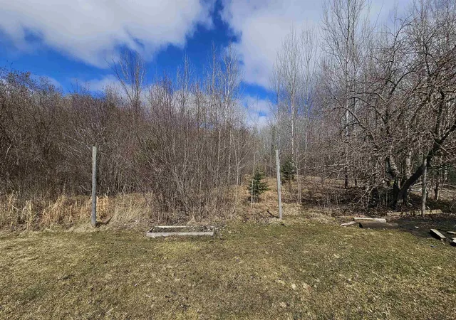 Photo 3 of Land for sale at 1450 Dundee Dr, Gladwin, MI 48624 | MLS# 50203075 | Listing updated on 2026-08-26