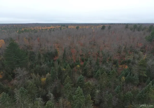 Photo 5 of Single family home for sale at 19495 S Nestoria Rd, Michigamme, MI 49861 | MLS# 50128305 | Listing updated on 2026-07-24