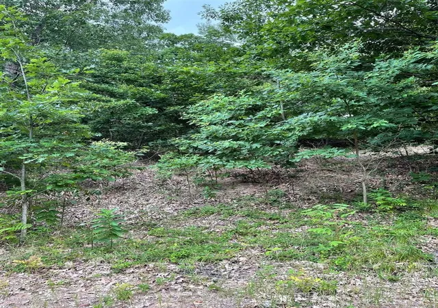 Photo 2 of Land for sale at 9419 Kramer Dr, Bridgman, MI 49106 | MLS# 70549780 | Listing updated on 2026-08-03