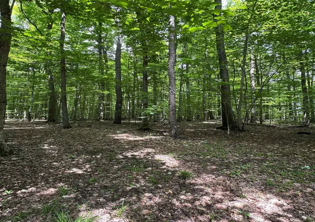Homes for sale in South Boardman, MI | 2392 Sw Inman Rd, South Boardman, MI 49680 | MLS# 80065434