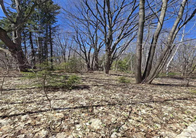 Homes for sale in Hancock, MI | Tbd Crestwood Dr, Hancock, MI 49930 | MLS# 50207429