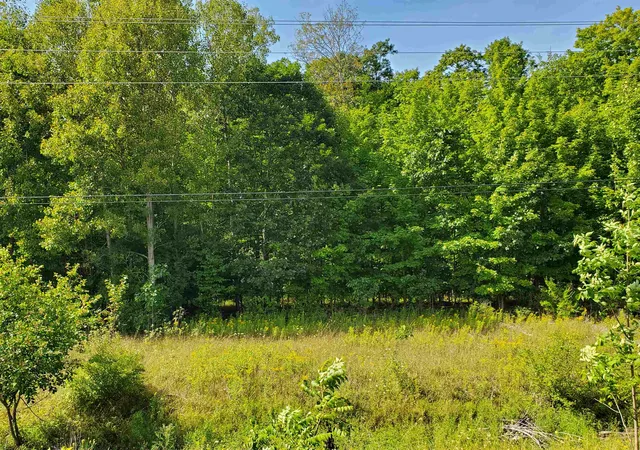 10th image of Parcel #3 225a Sw Bayshore Dr, Traverse City, MI 49684 | MLS# 80070851