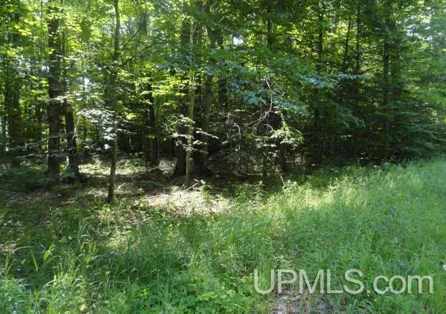 Homes for sale in Au Train, MI | Tbd 16 Mile Lk Rd, Au Train, MI 49862 | MLS# 50213658