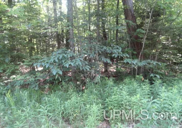 Homes for sale in Au Train, MI | Tbd 16 Mile Lk Rd, Au Train, MI 49862 | MLS# 50213658