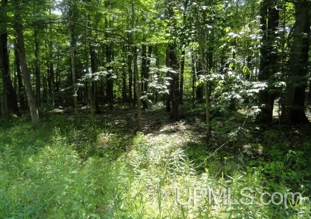 Homes for sale in Au Train, MI | Tbd 16 Mile Lk Rd, Au Train, MI 49862 | MLS# 50213658