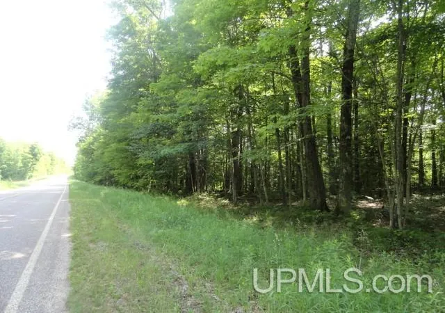 Homes for sale in Au Train, MI | Tbd 16 Mile Lk Rd, Au Train, MI 49862 | MLS# 50213658