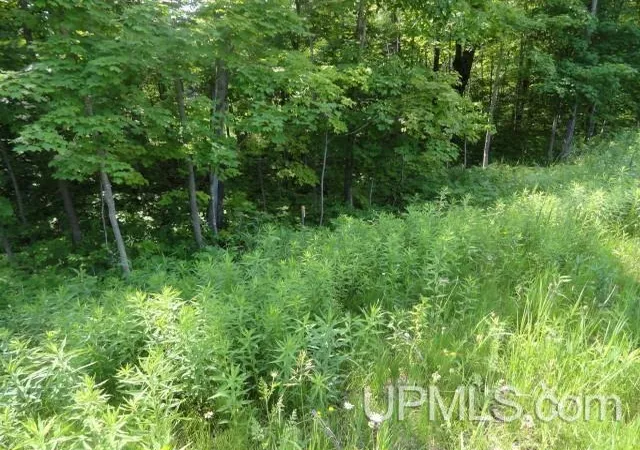 Homes for sale in Au Train, MI | Tbd 16 Mile Lk Rd, Au Train, MI 49862 | MLS# 50213658