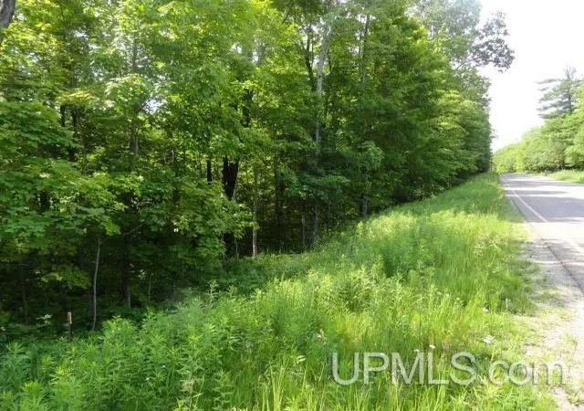 Homes for sale in Au Train, MI | Tbd 16 Mile Lk Rd, Au Train, MI 49862 | MLS# 50213658