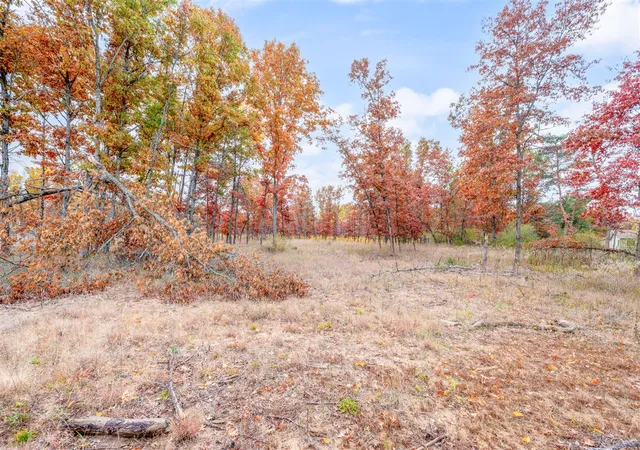 Land for sale at V/l 16 Mile Rd, Big Rapids, MI 49307 | MLS# 70507561